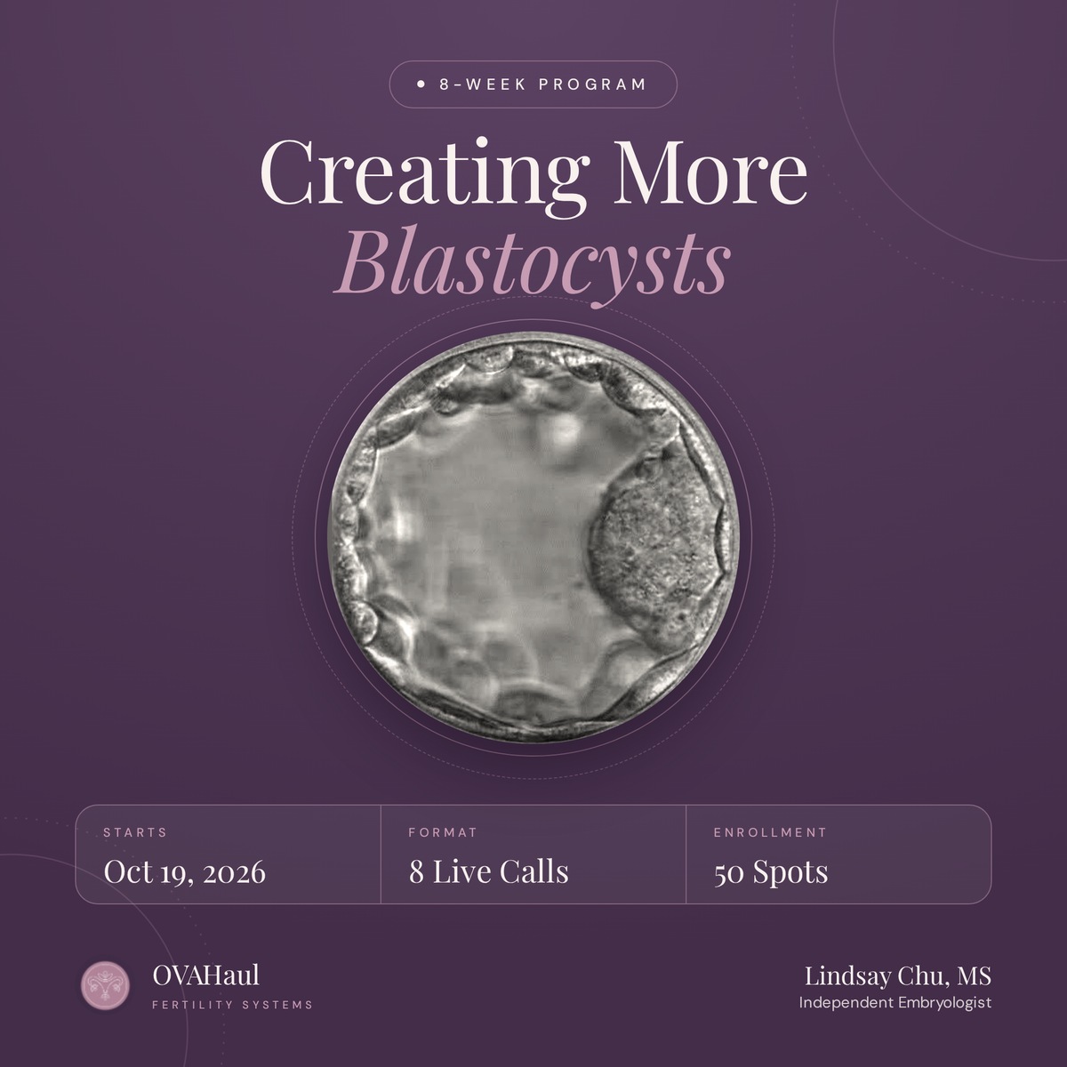 Creating More Blastocysts- An 8 Week Program To Creating More Healthy Embryos