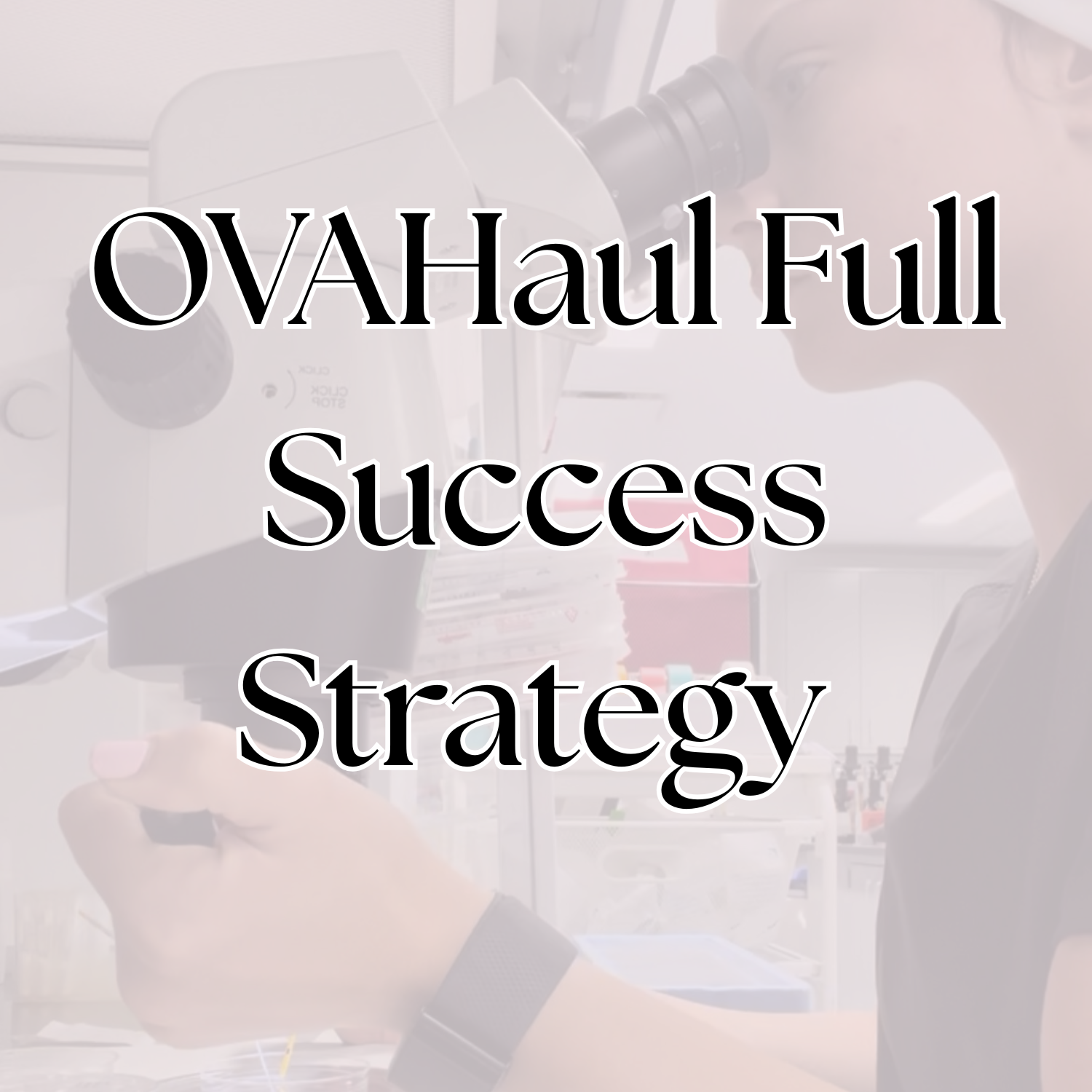 Full Success Strategy – Personalized Fertility Roadmap & Comprehensive Optimization Plan