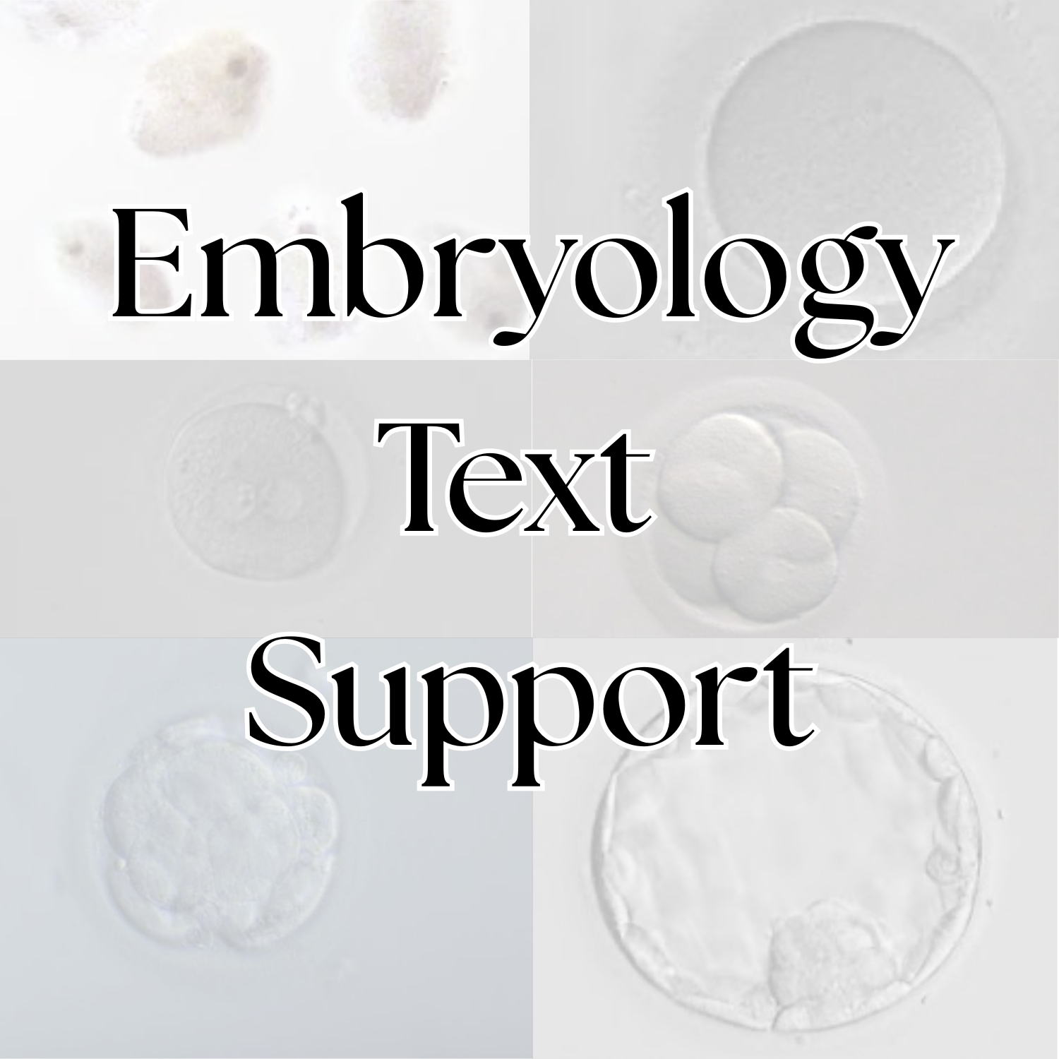 Embryology Text (SMS) Support (2 Weeks of text support)